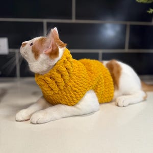 Può includere: Un gatto bianco e arancione che indossa un maglione di lana giallo. Il gatto è sdraiato su una superficie bianca e guarda in alto.