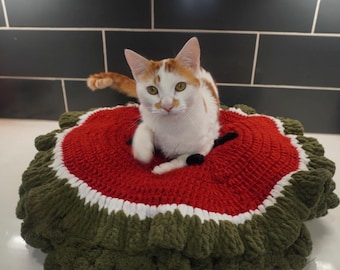 Puede incluir: Un gato blanco y naranja está sentado en una cama para mascotas hecha a mano. La cama es redonda, con un centro rojo, una franja blanca y un borde verde con volantes. El gato mira directamente a la cámara.