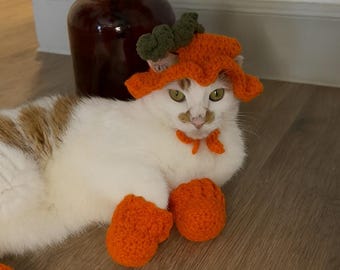 May include: A cat wearing a crocheted orange hat with green leaves, an orange bow tie, and orange booties. The cat is white with orange markings and is lying on a wooden floor. A brown vase with greenery is in the background.