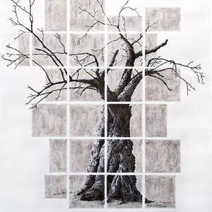 Limited Edition Apple Tree Print