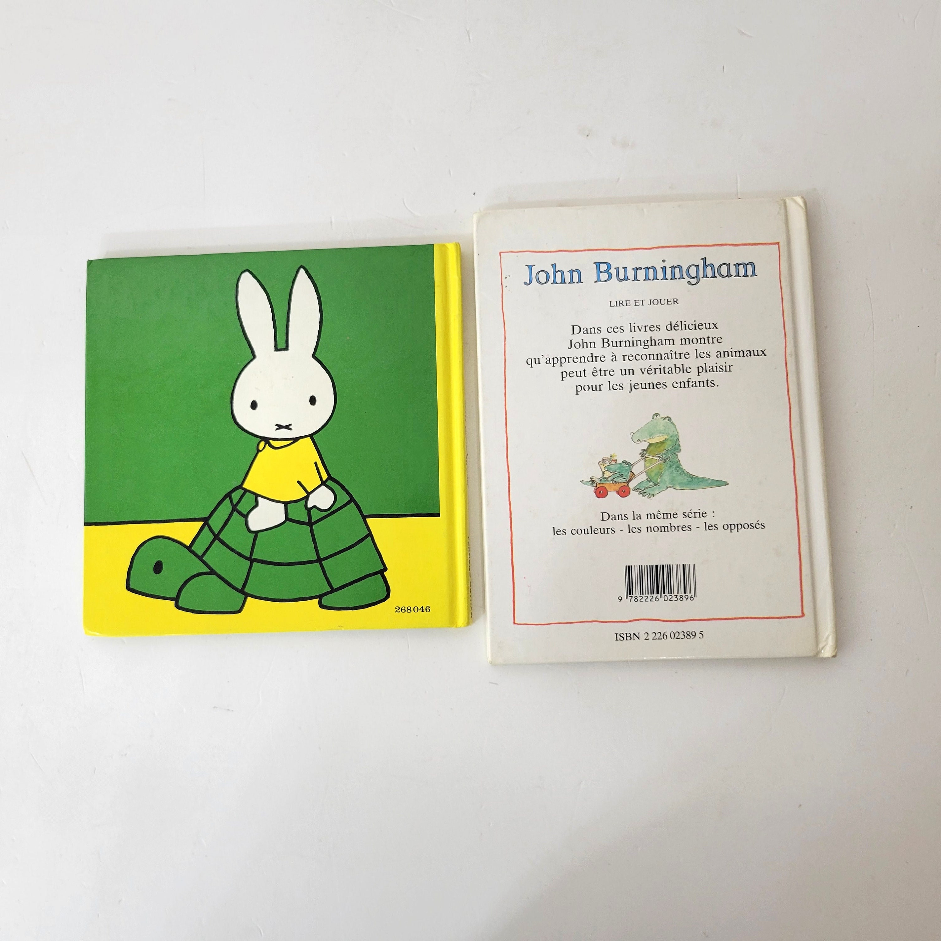French Children's Books Le Petit Lapin Au Zoo by Dick Bruna - Etsy