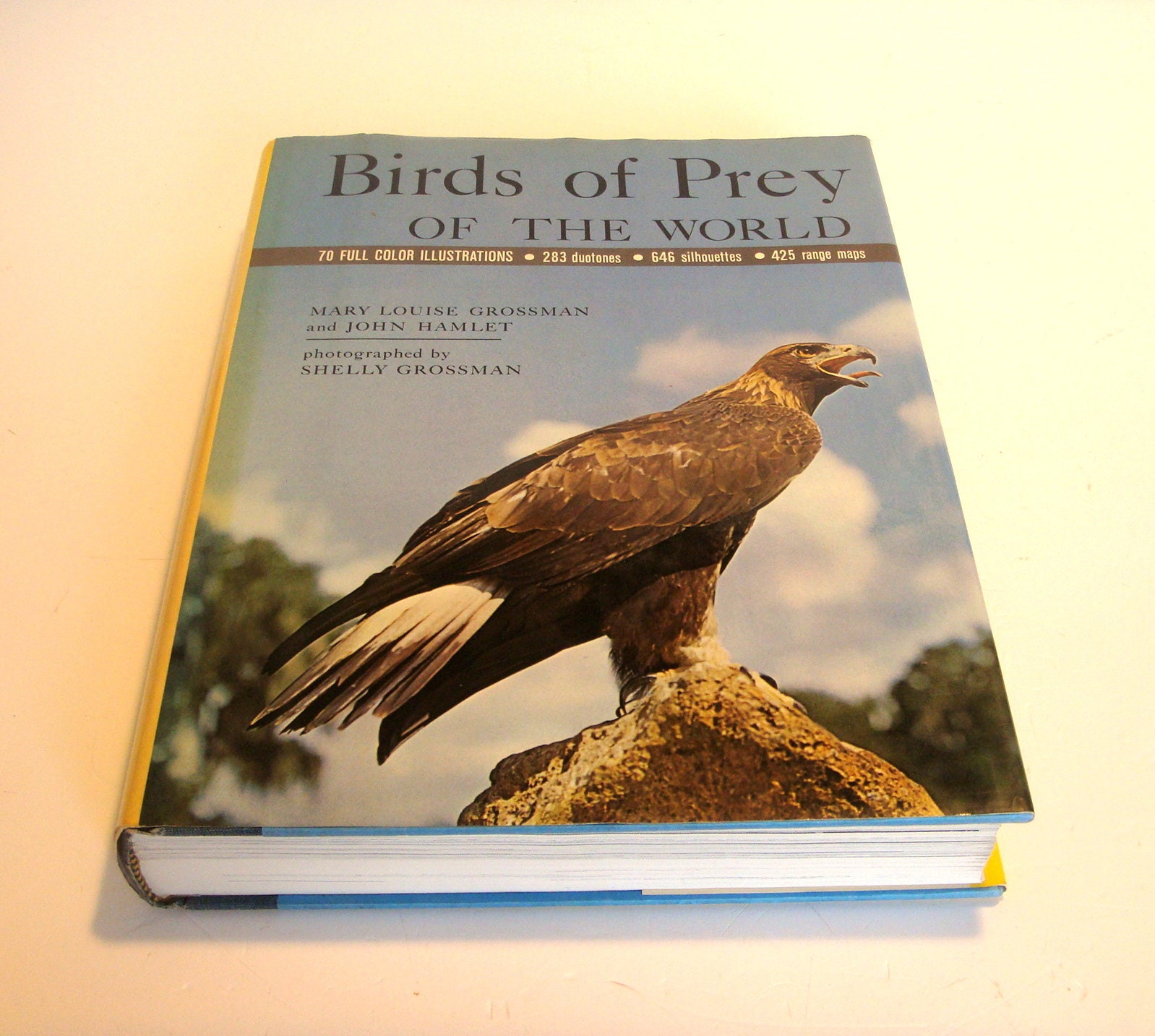Birds of Prey of the World