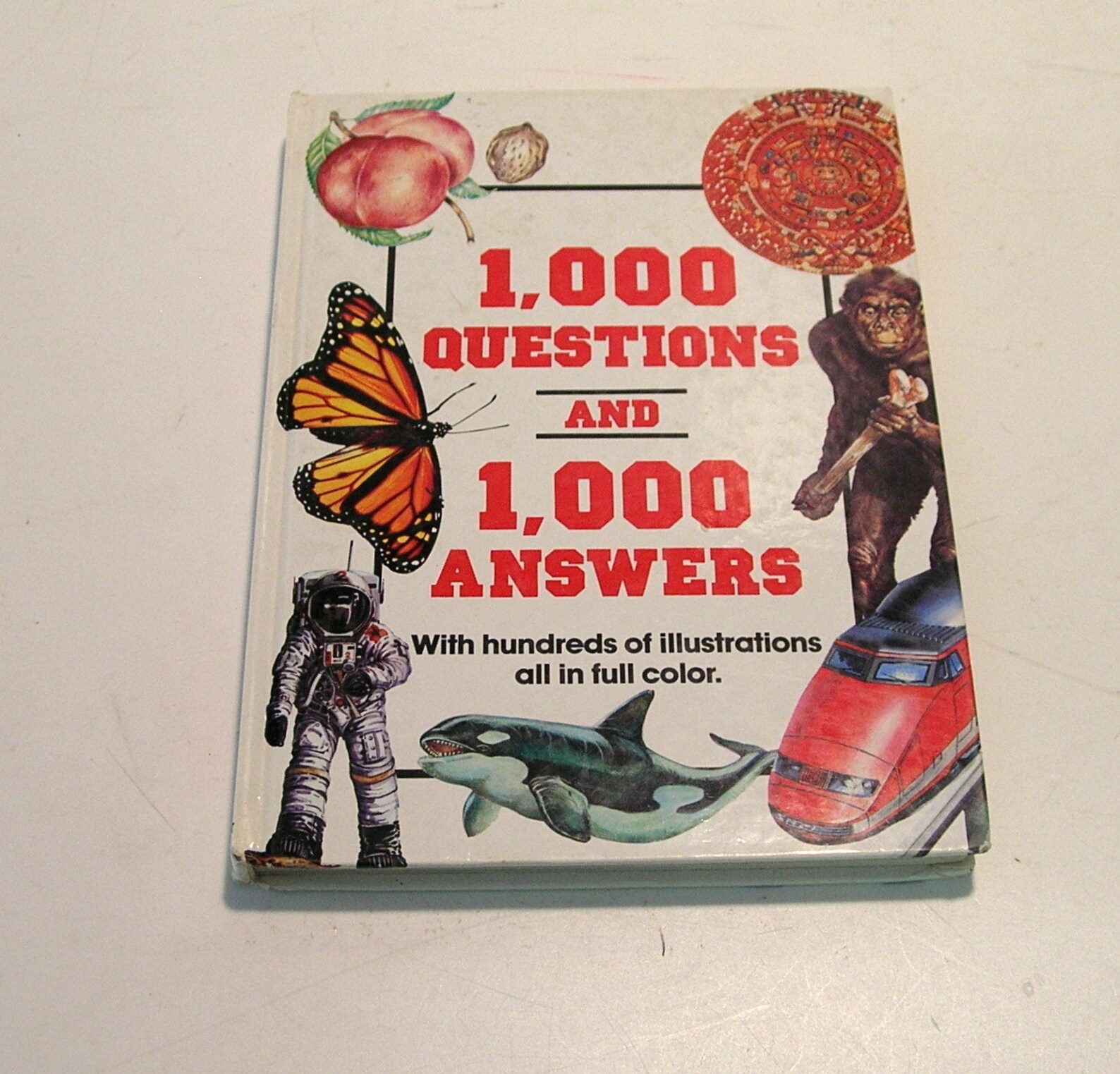 1000 Questions and 1000 Answers Children's Book | Etsy