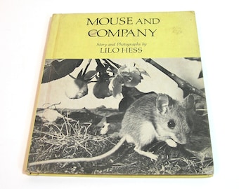 Mouse And Company Story And Photographs By Lilo Hess