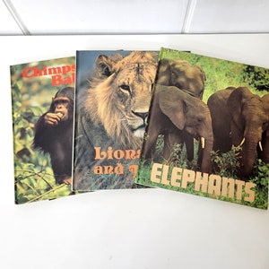 Ranger Rick&#39;s Best Friends Nature Books, Set of Three, Elephants, Lions and Tigers, Chimps and Baboons