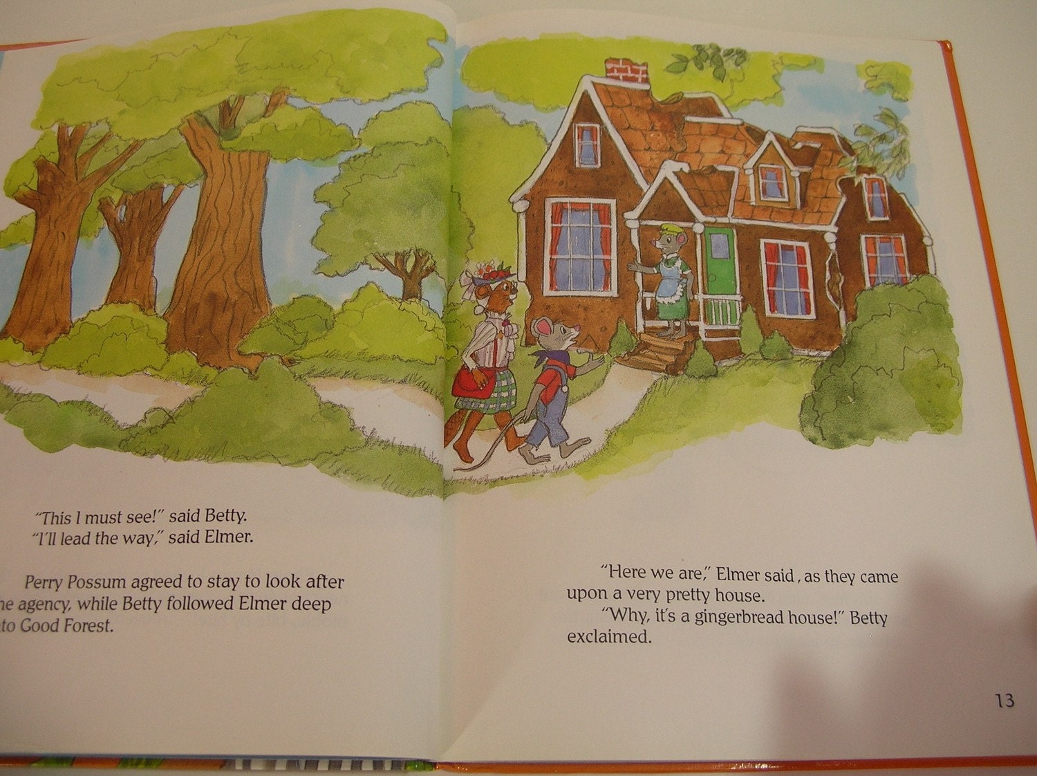 The Case Of The Vanishing House Vintage Children's Book Etsy