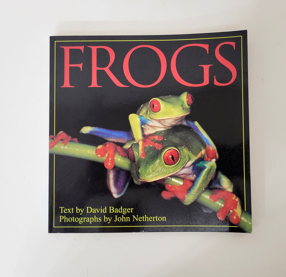 Frogs by David Badger - Etsy