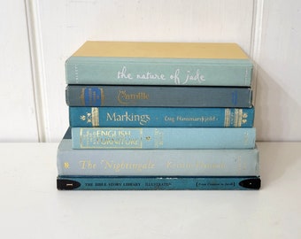 Aqua Blue Book Collection, Set of Six, Library Decor, Home Decor, Instant Library