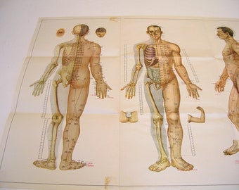 Acupuncture Poster Chart 1974 Chinese Medical College Peking China