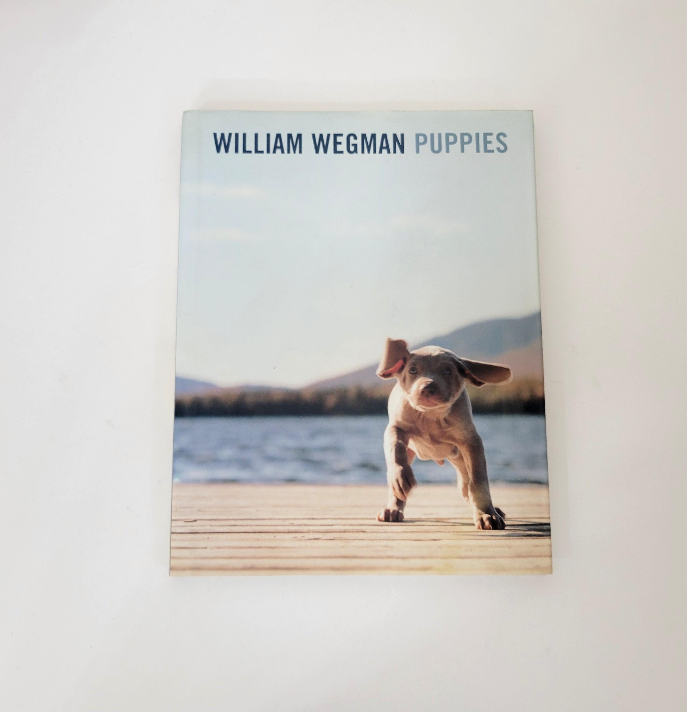 Wegman Dogs - Etsy Wegman Dogs - Etsy