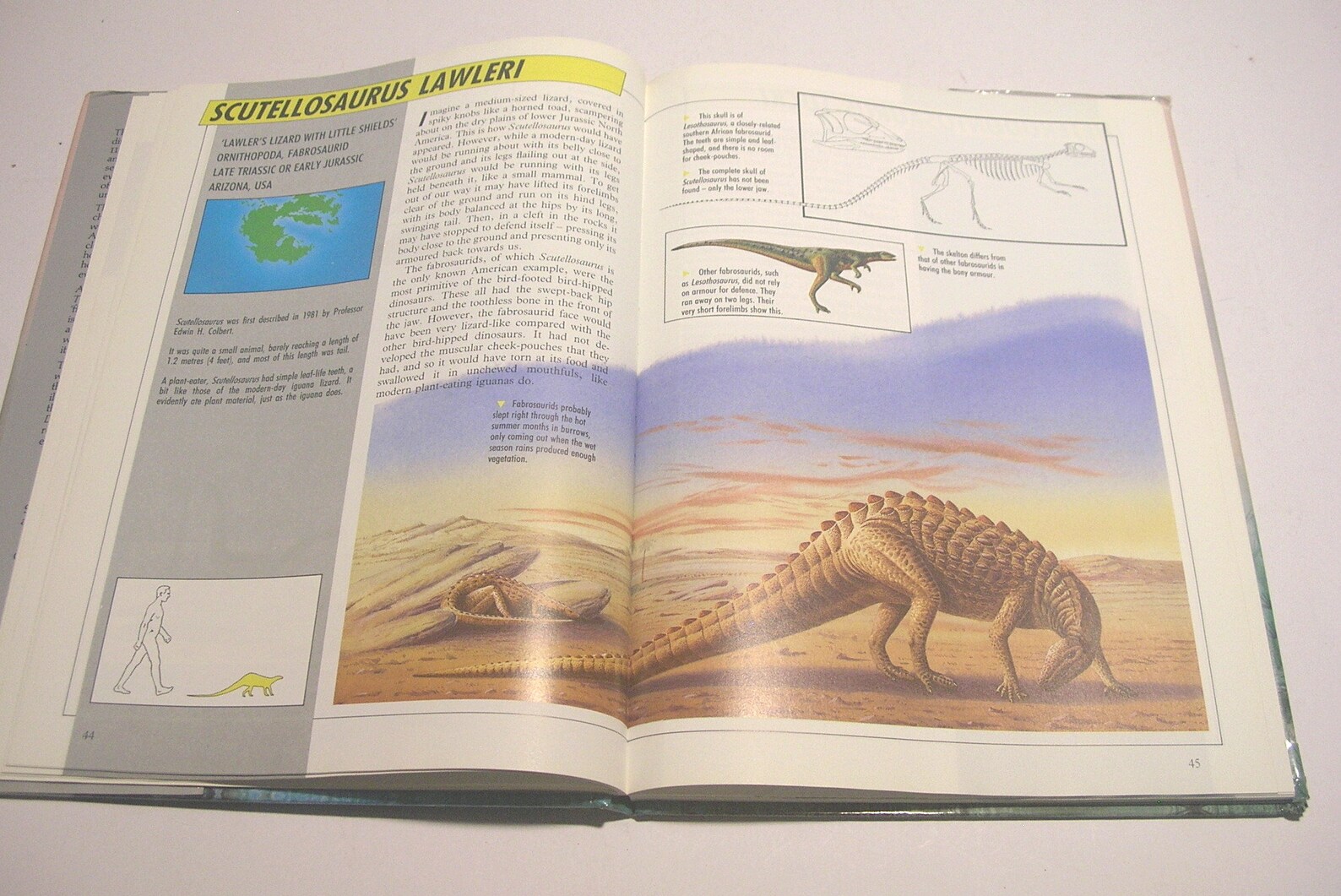 The Illustrated Dinosaur Encyclopedia by Dougal Dixon | Etsy