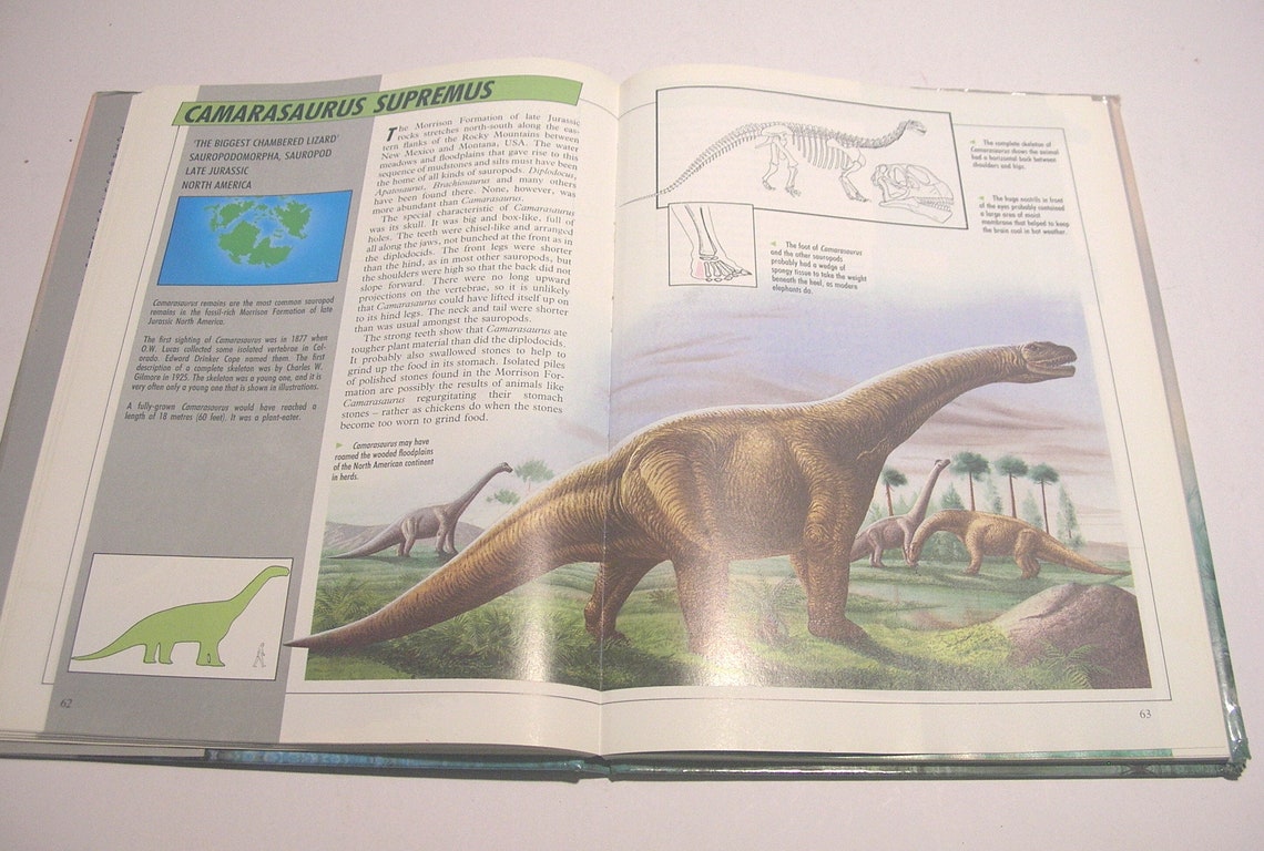 dino encyclopedia