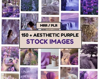 Purple Stock Photos | 150+ PLR Images (Digital Download
