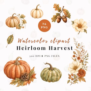 May include: A collection of watercolour illustrations featuring pumpkins, acorns, autumn leaves, and flowers. The text reads 76 PNG, Watercolour clipart, Heirloom Harvest, and 300 DPI PNG FILES. The colour palette includes orange, green, and cream.