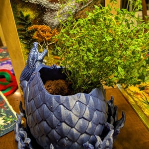 May include: A blue dragon egg planter with a green plant growing inside. The planter is made of 3D printed plastic and has a detailed dragon egg design.