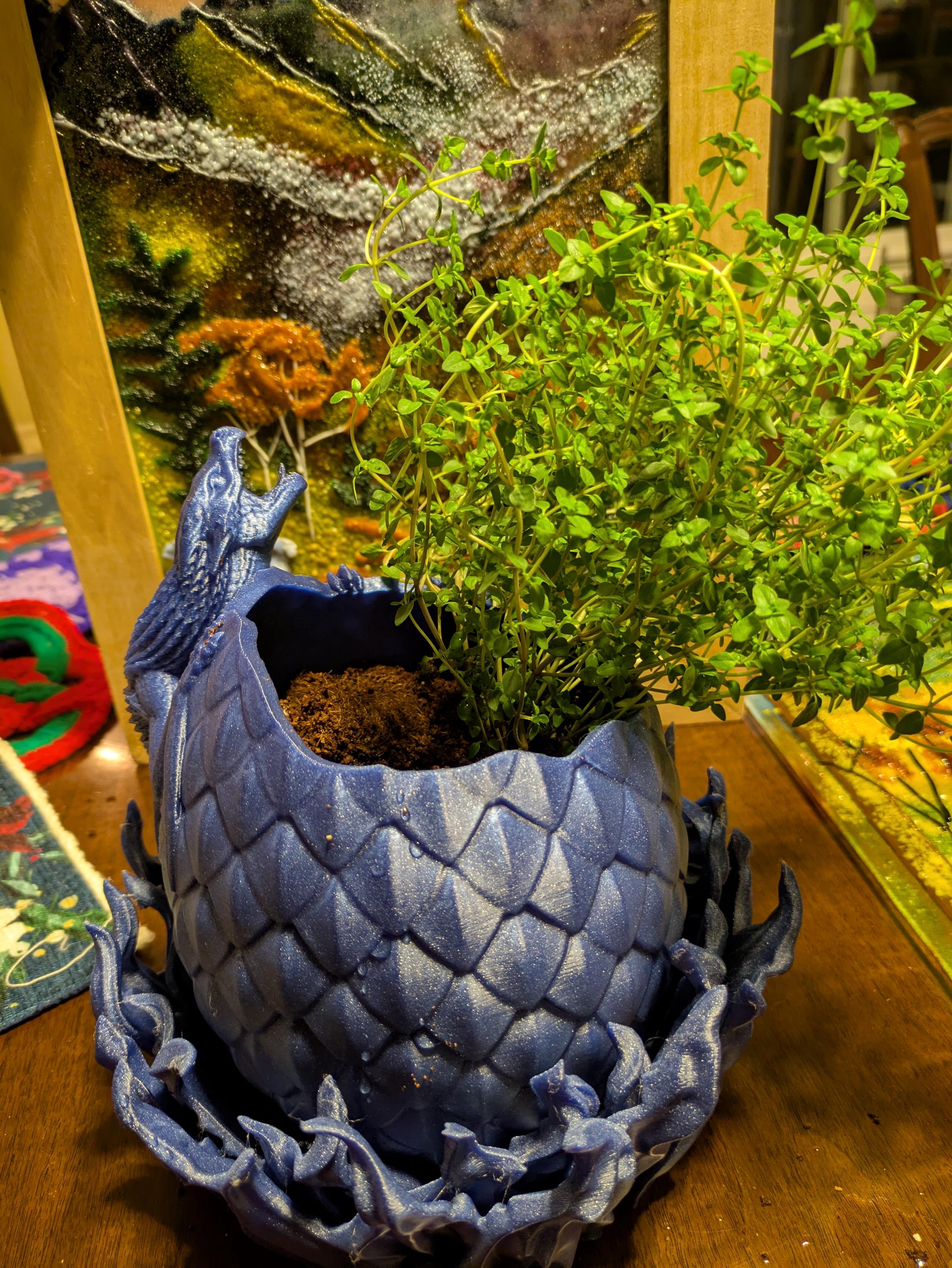 dragon eggs pot 植木鉢 Dragon Egg Planter - Etsy