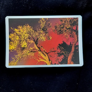 Aurora Boreal de Quintal - Cartão Postal Feito à Mão - Fotografia 4x6