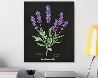 Scientific Illustration, Lavender Canvas Art, Herbal Wall Decor, Floral Home Decor, Nature Inspired Art, Lavender Wall Art, Gothic Vintage