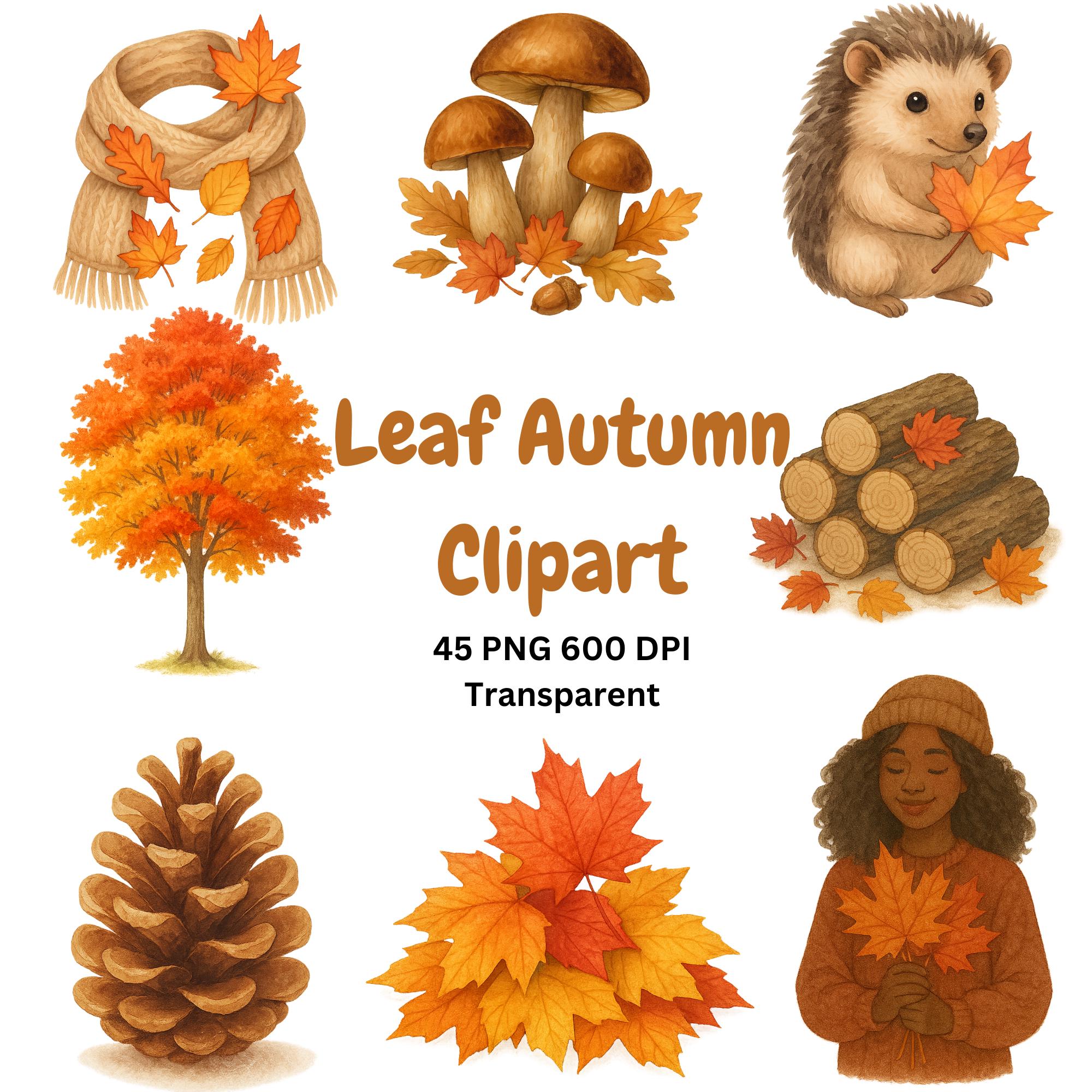 Digital Clipart PNG Bundle main preview with transparent PNG graphics