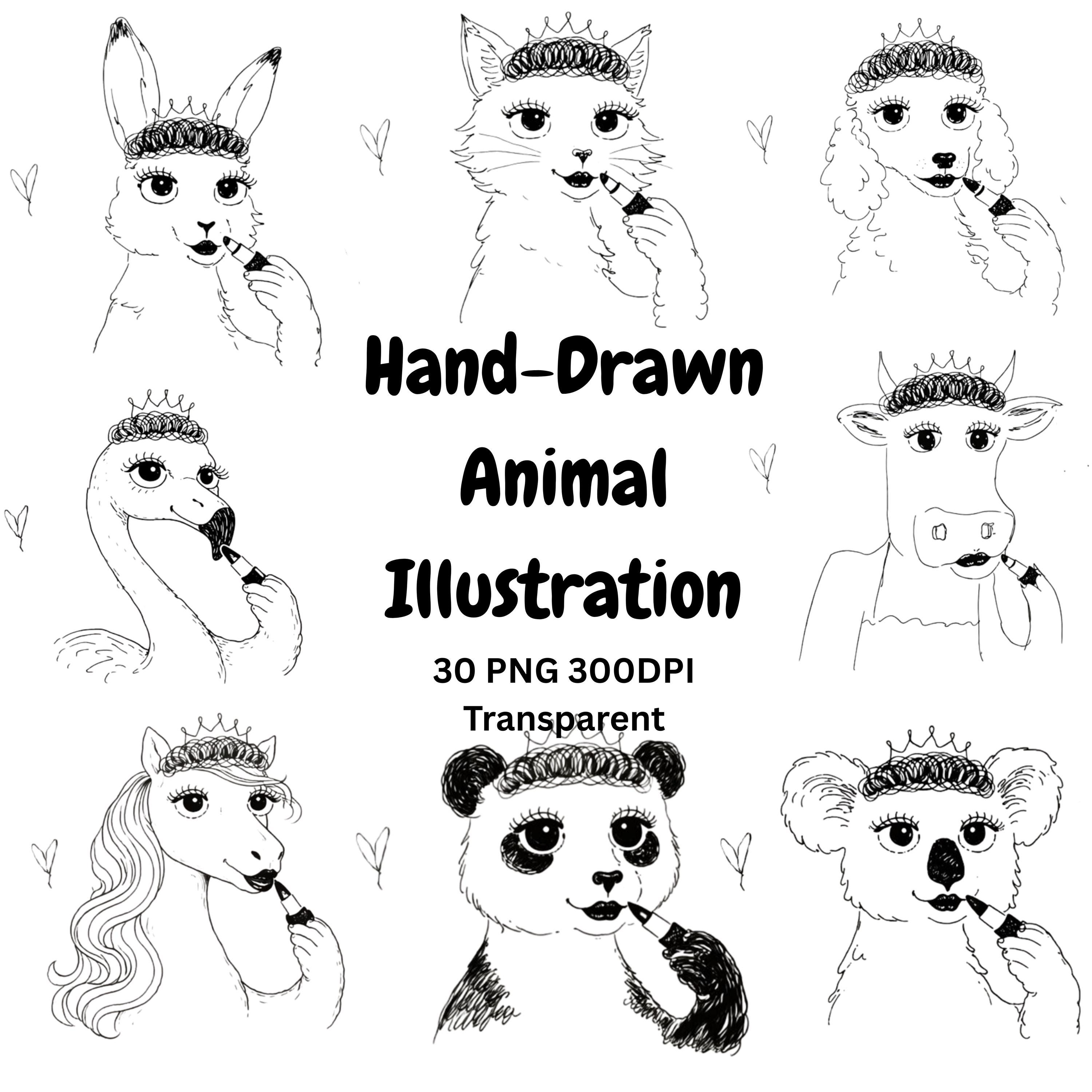 Preview of Hand Drawn Animal Illustration Clipart PNG Bundle