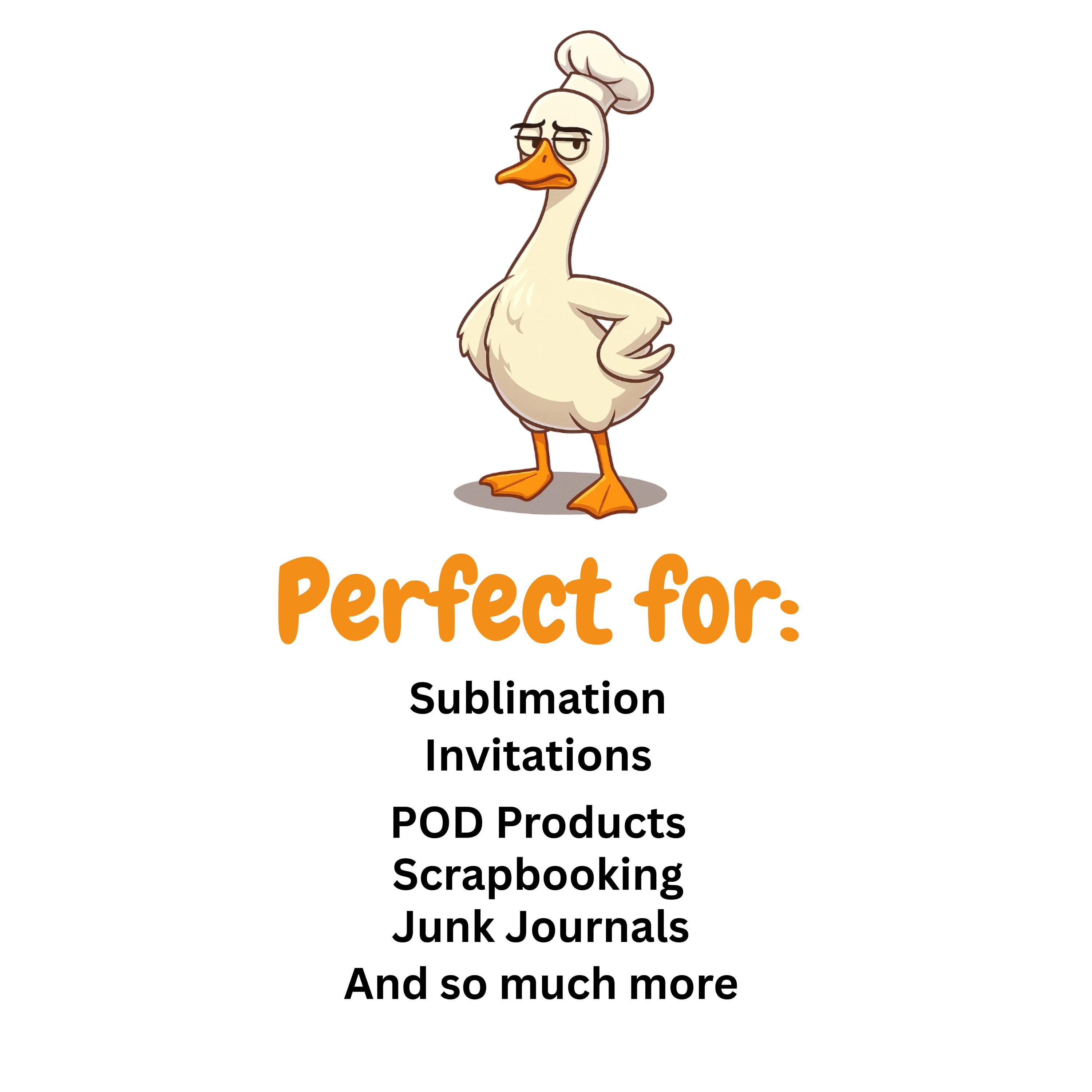 Silly Goose Clipart PNG Bundle design elements preview