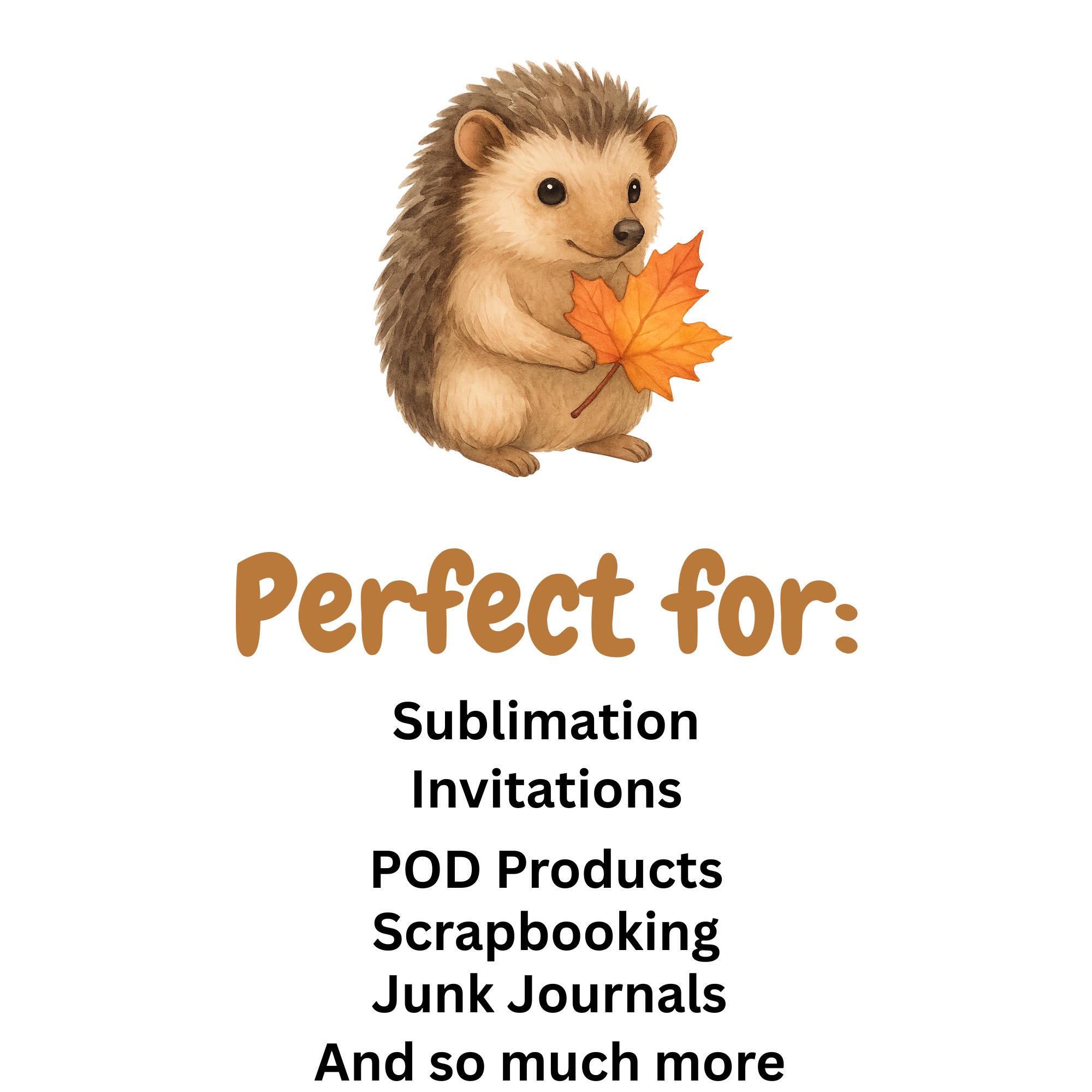 Digital Clipart PNG Bundle design elements preview
