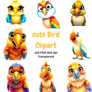 Quirky and funny birds clipart, PNG, quirky animals clipart, crazy birds, funny animals, funny illustrations, sublimation, digital download