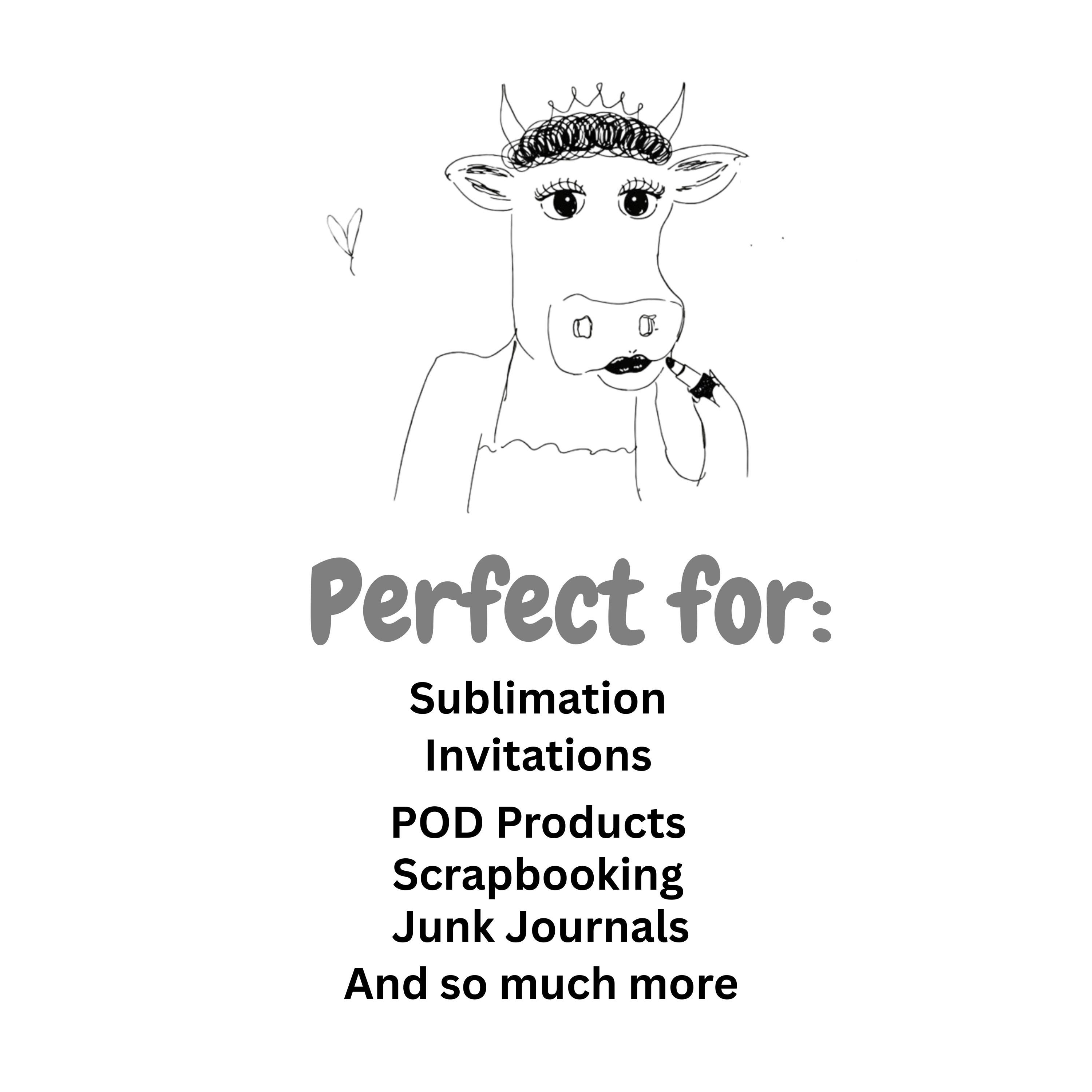 Animal Clipart PNG Bundle for stickers and digital products