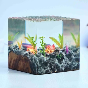Axolotl Ocean Night Light, Handmade Epoxy Resin, Wood Diorama Lamp, Unique Home Decor, Birthday Gift for Aquatic Animal Lovers