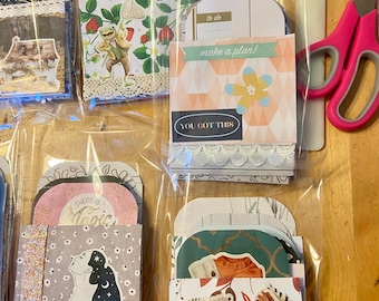 May include: Several decorative paper card sets in clear plastic packaging. The cards feature various designs, including a frog with a net, floral patterns, and the text "YOU GOT THIS". Pink scissors and a bone folder are visible.