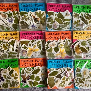 Pack d'autocollants pour plantes pressées