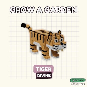 Puede incluir: Un tigre renderizado en 3D con rayas naranjas y negras, detalles blancos y una punta de cola negra. La imagen incluye el texto "GROW A GARDEN" en la parte superior y "TIGER DIVINE" en un cuadro morado. Un botón verde "BUY NOW" está en la esquina inferior derecha.