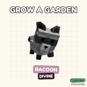 Raccoon (Divine) | Grow a Garden (Pet) - All Pets / Items Available