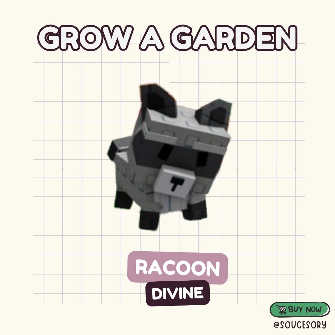 Raccoon (Divine) | Grow a Garden (Pet) - All Pets / Items Available