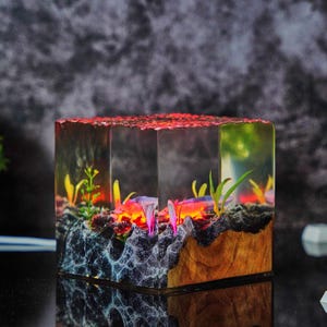 Epoxy Resin A.xo.lot.l Lamp, Underwater Animal Night Light, Resin Wood Lamp, Unique Nature Gift - Home Decor, Aquatic Room Light