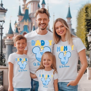 Princess Cinderella Birthday Family Shirt, Disney Cinderella Birthday T Shirt, Cinderella Birthday Girl Tee, Custom Family Matching Shirt