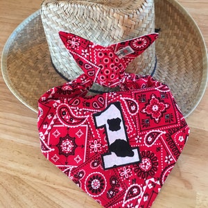 COWBOY/Rodeo NUMBER Bandana 1ST BIB/ Double-Sided Bandana Bib/Western/Farm/Barnyard Party Accessory/1st Birthday Party Outfit/Rodeo Party