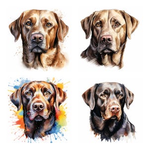 28 Labrador Retriever Dog Breed PNG Clipart Bundle, Watercolor Pet Portrait JPEG Instant Download, Paper Craft Illustration, Commercial Use
