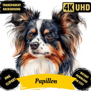 Papillon hondenras afdrukbare clipart PNG, aquarel Papillon hond sublimatie Papillon huisdier portret illustratie afbeelding commercieel gebruik