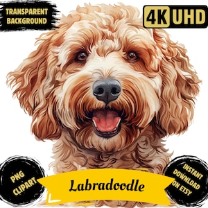 Clipart imprimable PNG de race de chien Labradoodle, Labradoodle aquarelle sublimation Labradoodle Pet Portrait Illustration Image usage Commercial