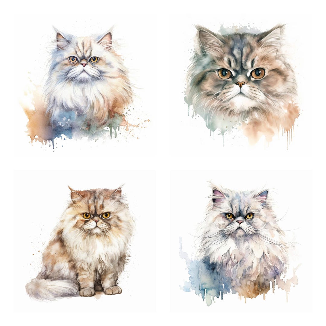 18 Persian Cat PNG Clipart Bundle, Watercolor Fluffy Persian Cat Wall ...