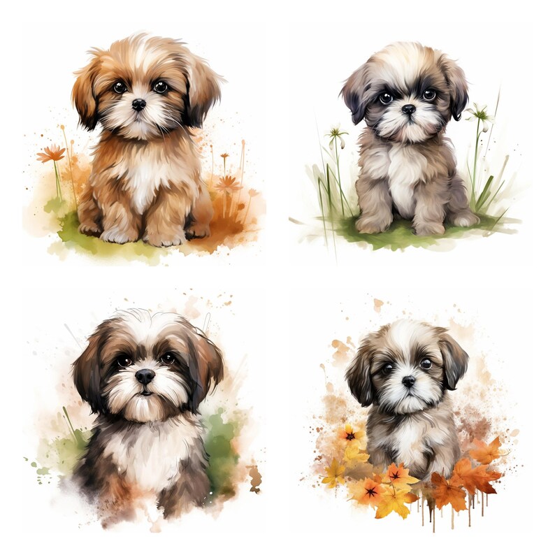 21 Shih Tzu Puppy Dog Breed PNG Clipart Bundle, Watercolor Pet Portrait ...