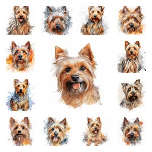 19 Terrier australien soyeux race de chien PNG Clipart Bundle, portrait pour animaux de compagnie Terrier soyeux duveteux aquarelle JPEG téléchargement immédiat, usage commercial