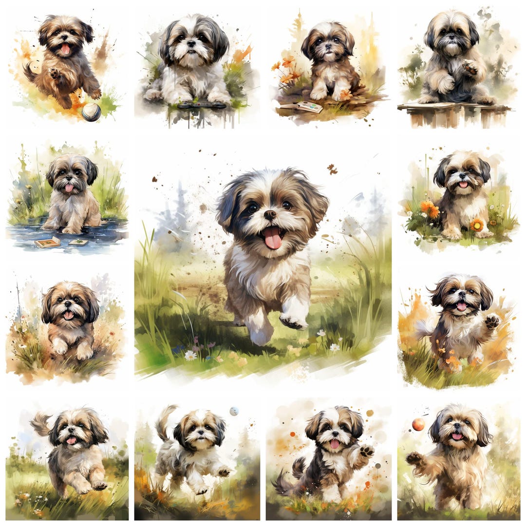44 Shih Tzu Dog Breed PNG Clipart Bundle, Watercolor Shih Tzu Puppy Pet ...
