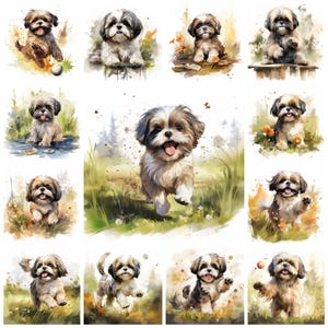 44 Shih Tzu Dog Breed PNG Clipart Bundle, Watercolor Shih Tzu Puppy Pet Portrait JPEG Download, Paper Craft Illustration, Commercial Use