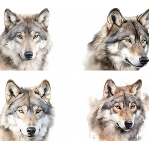 Puede incluir: Cuatro pinturas de acuarela de cabezas de lobo. Cada lobo tiene una expresión y una postura diferentes. Los lobos están pintados en tonos de gris y marrón.