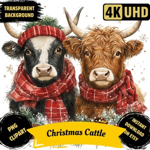 May include: Two Highland cattle wearing red and white plaid scarves with a snowy background. The text "Christmas Cattle" is in the center of the image.