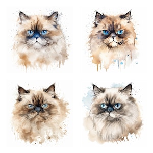 May include: Four watercolor paintings of cats with blue eyes. Each cat is depicted with a light brown and white coat and a watercolor background.