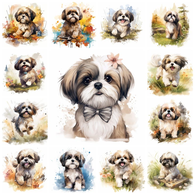 44 Shih Tzu Dog Breed PNG Clipart Bundle, Watercolor Shih Tzu Puppy Pet ...