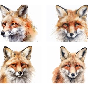 Puede incluir: Cuatro pinturas de acuarela de zorros. Cada zorro se representa con una expresión y una postura diferentes. Los zorros están pintados en tonos de naranja, marrón y blanco.